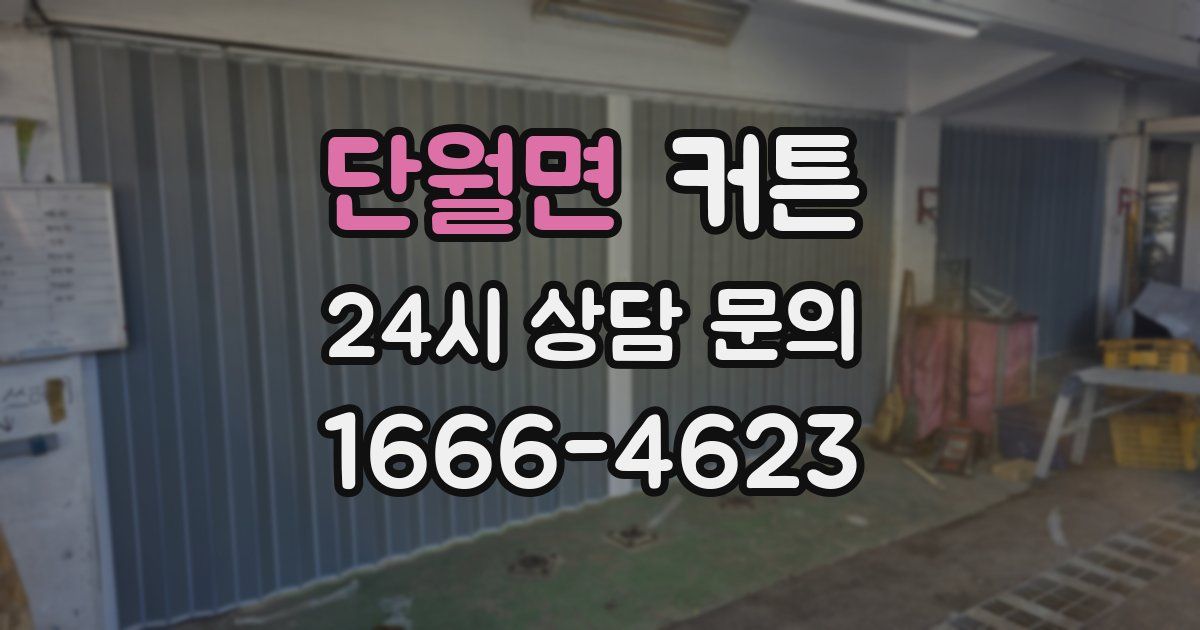 단월면 커튼