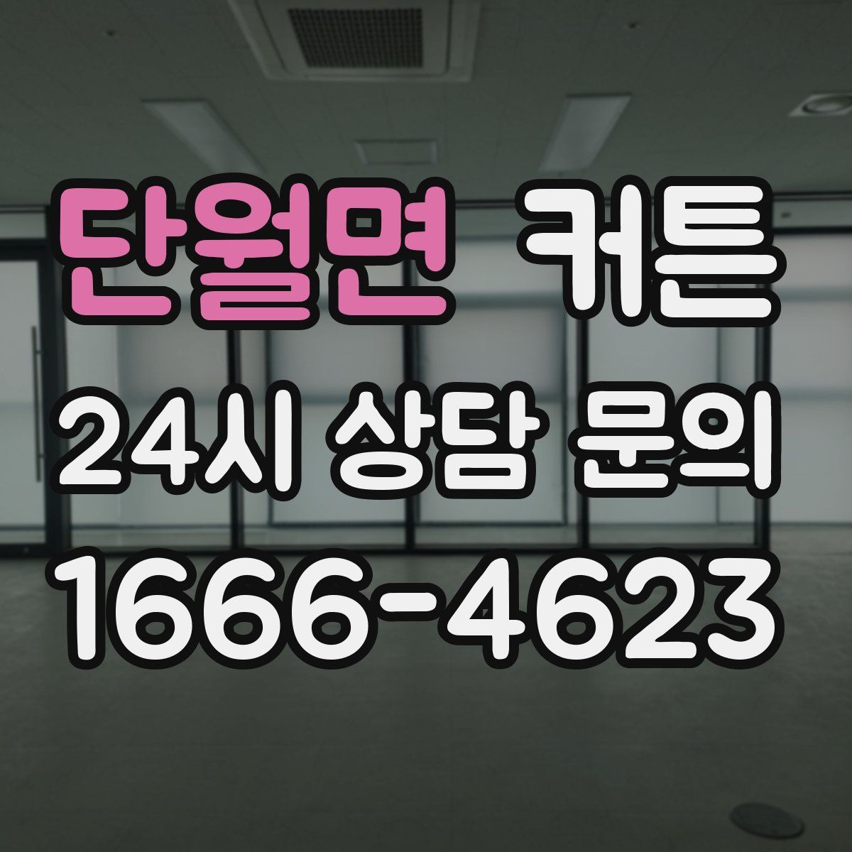 단월면 커튼