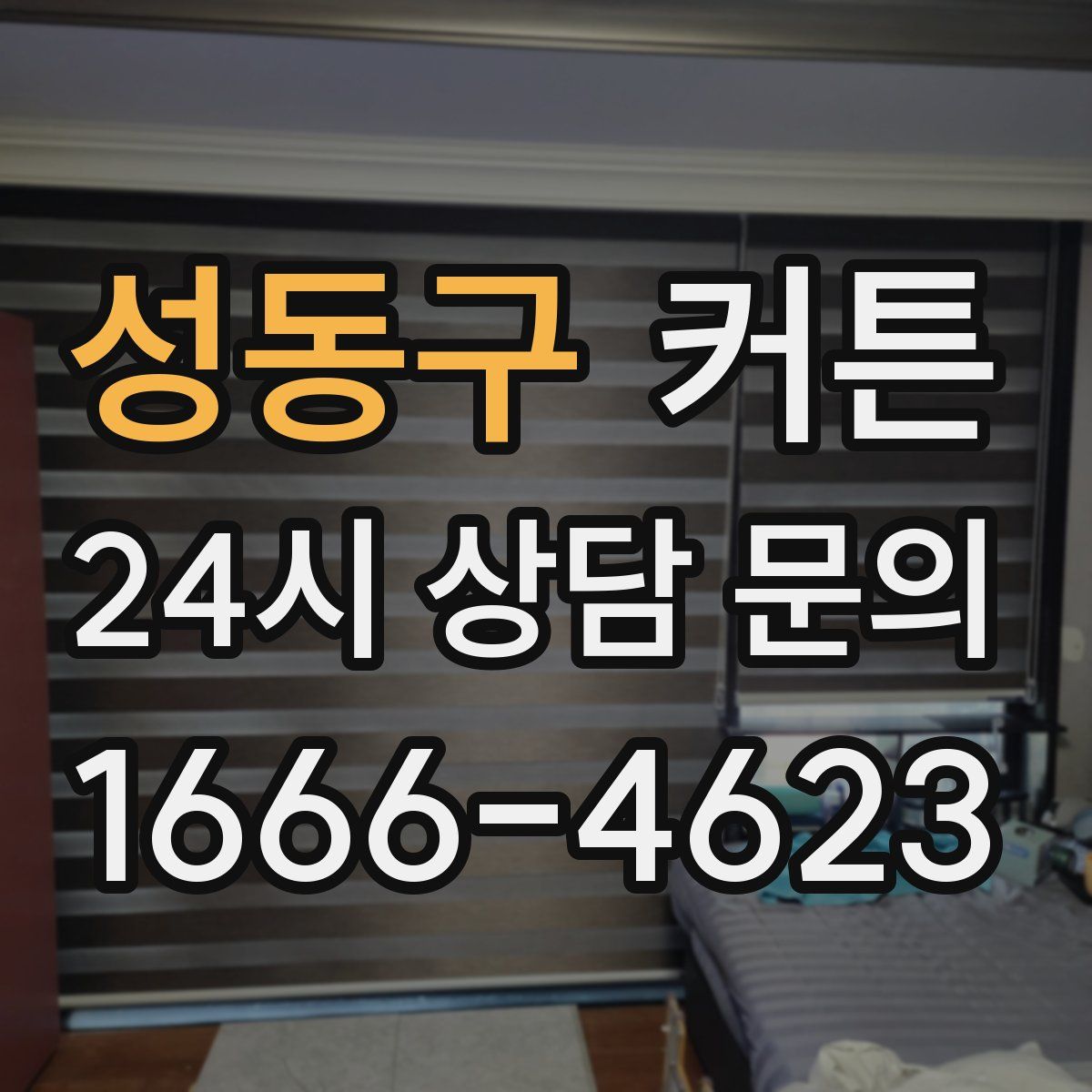 성동구 커튼