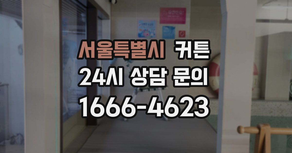 서울특별시 커튼