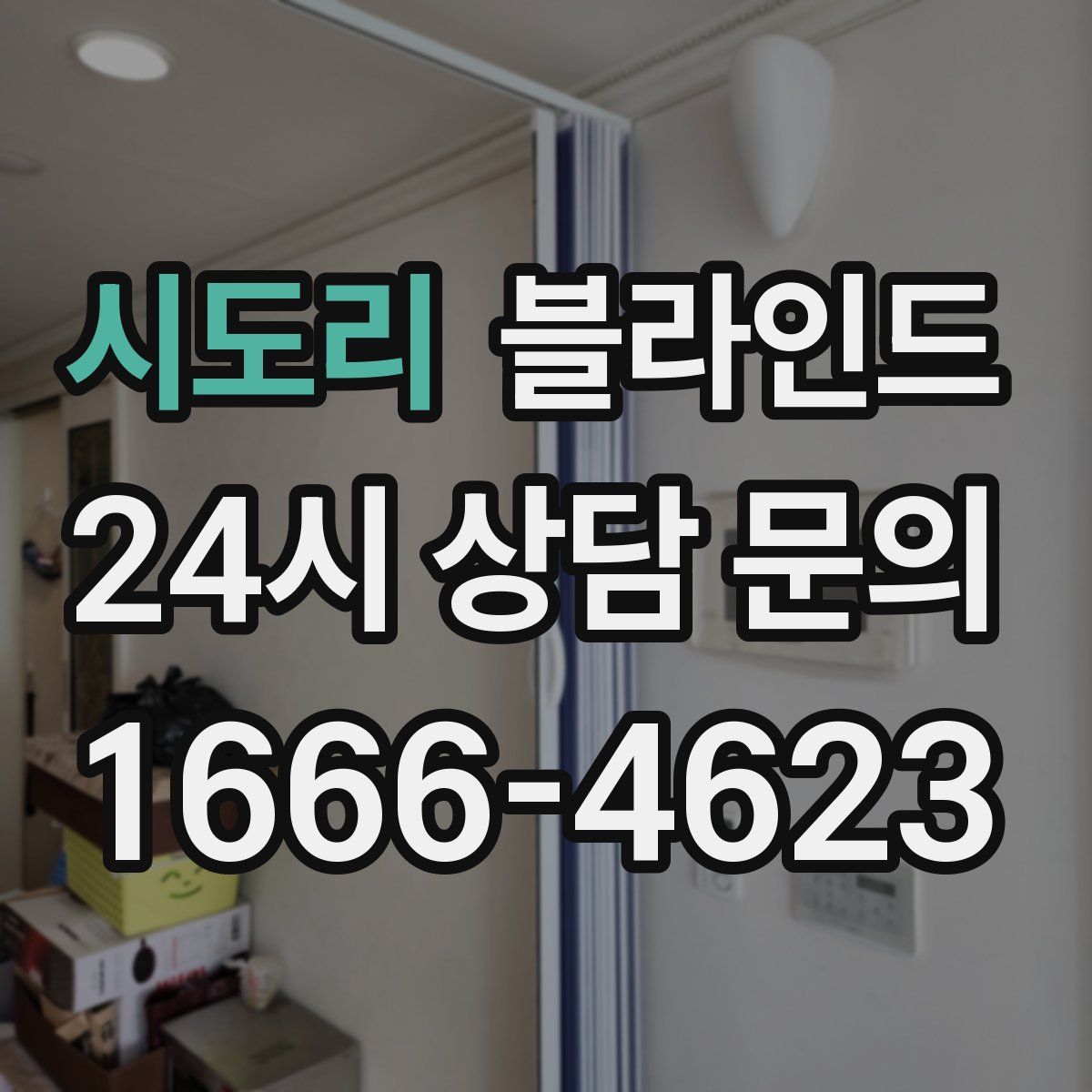 시도리 블라인드