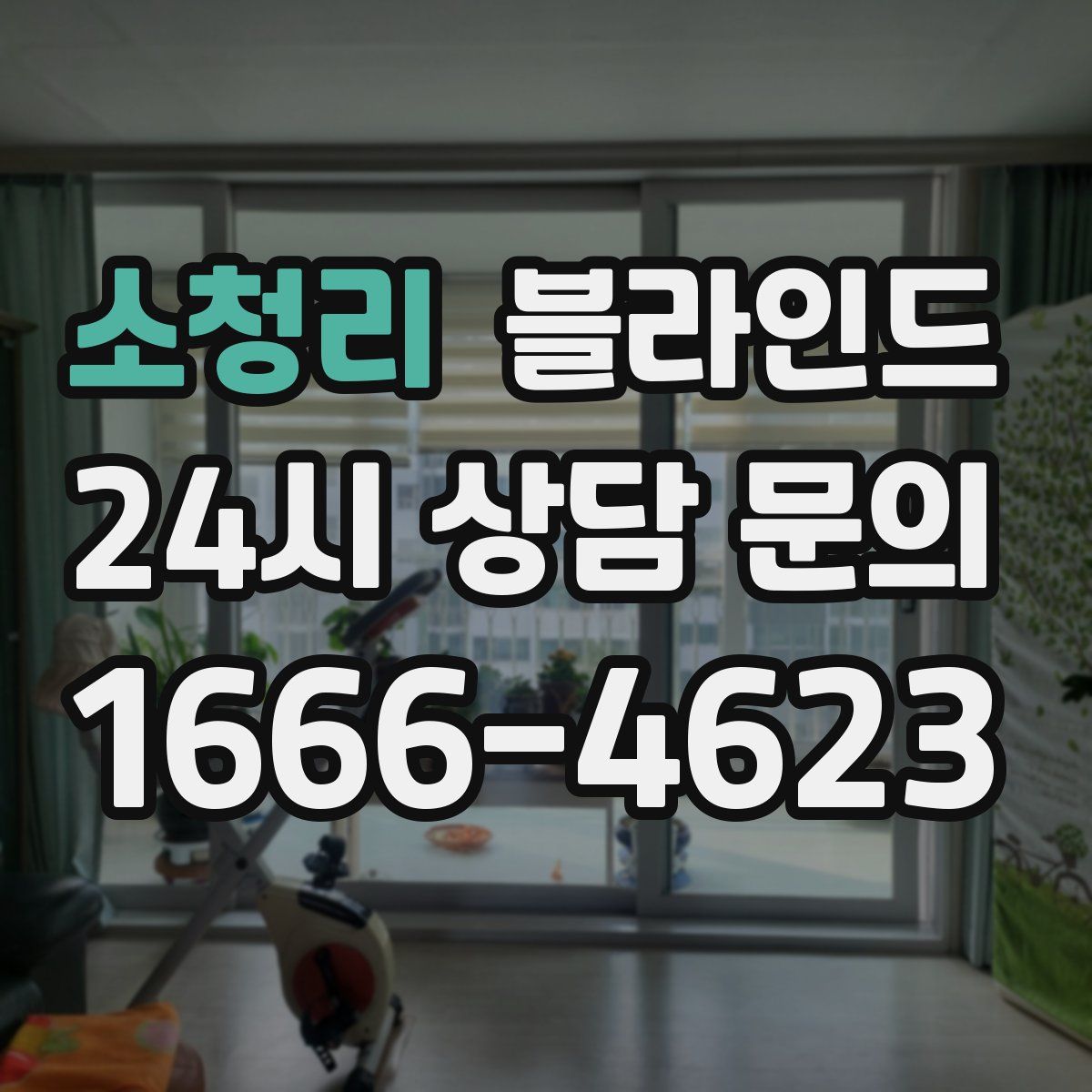 소청리 블라인드