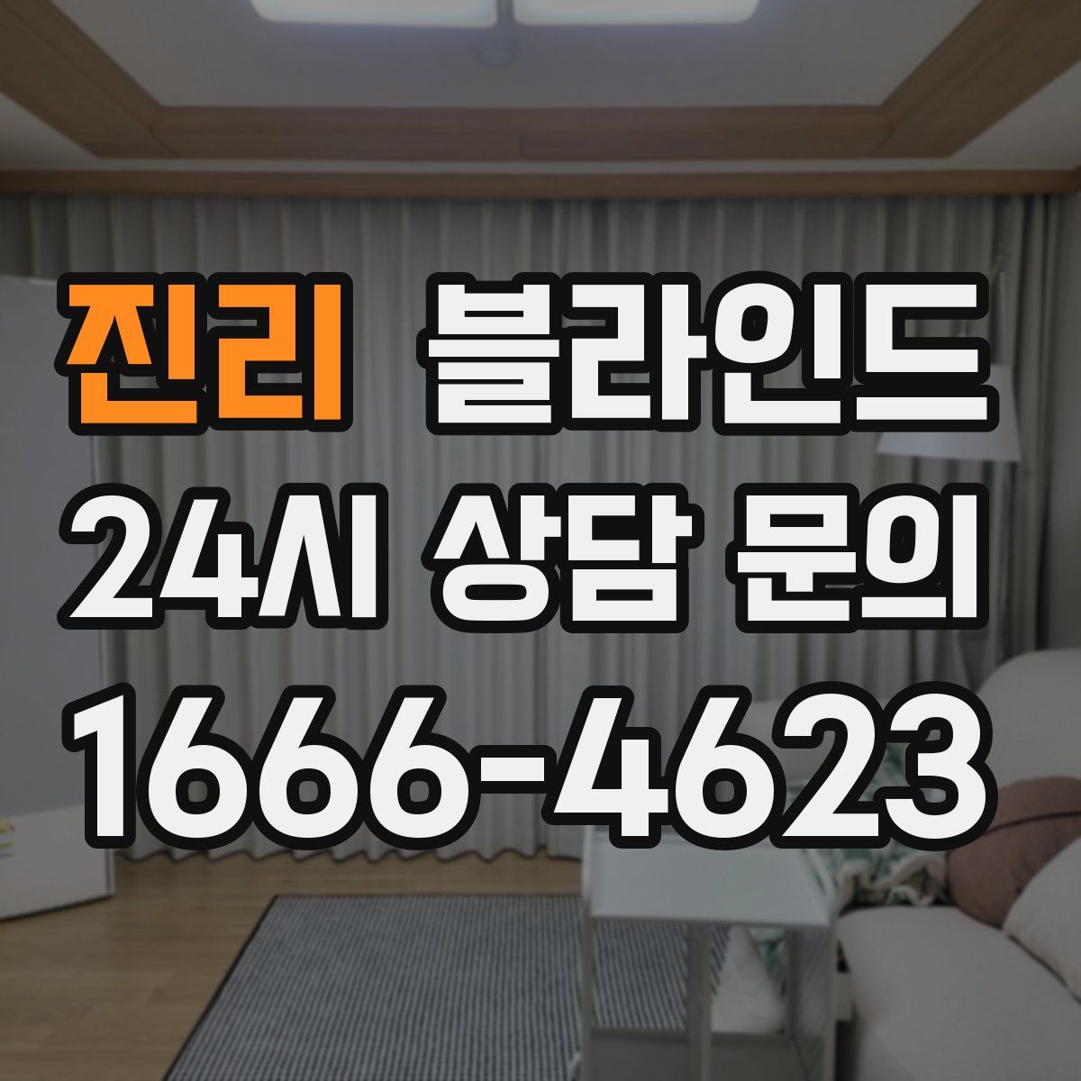 진리 블라인드