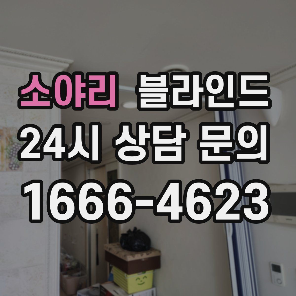 소야리 블라인드