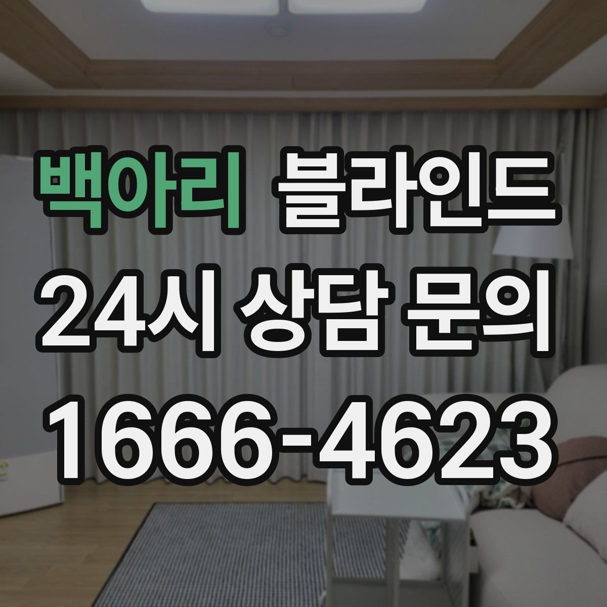 백아리 블라인드