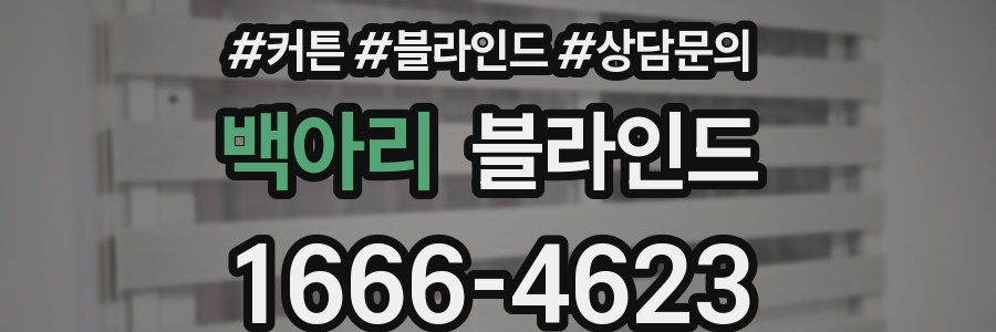 백아리 블라인드