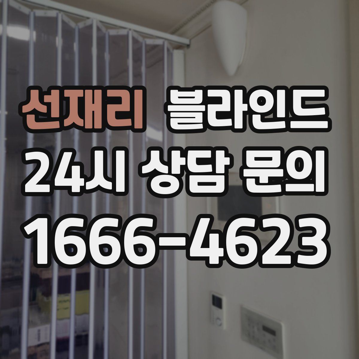 선재리 블라인드
