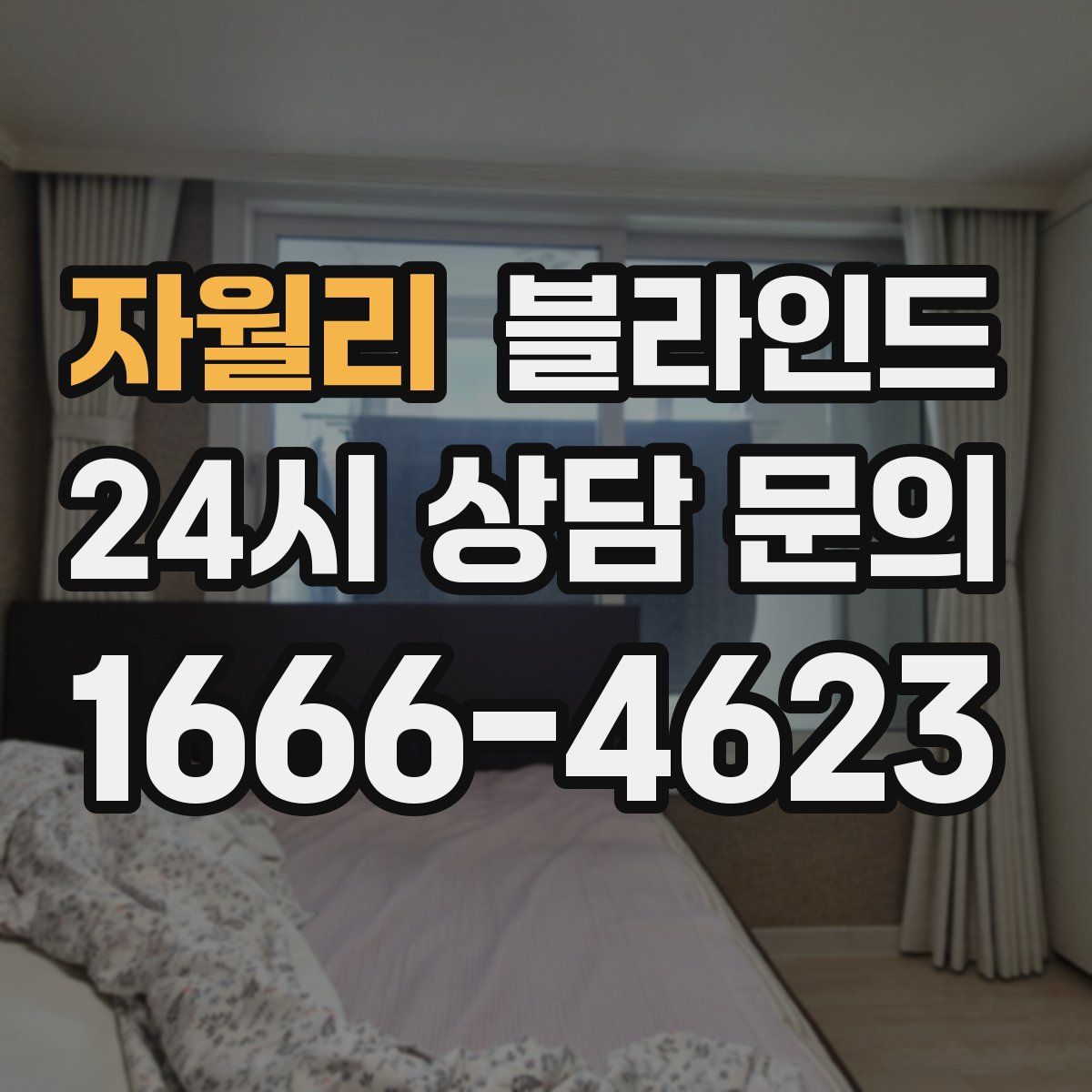 자월리 블라인드