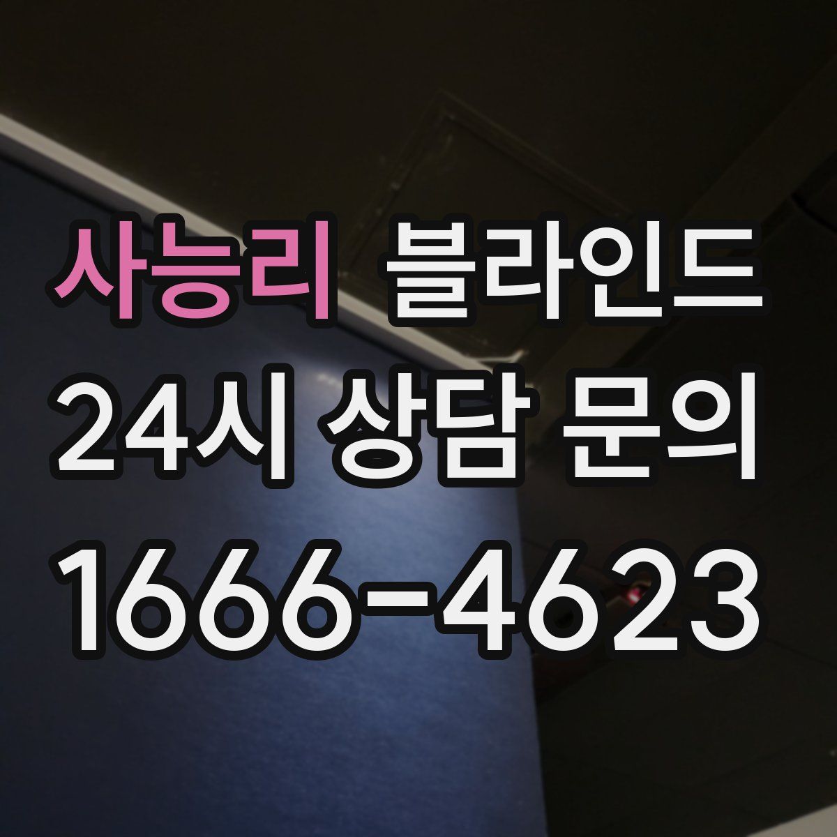 사능리 블라인드
