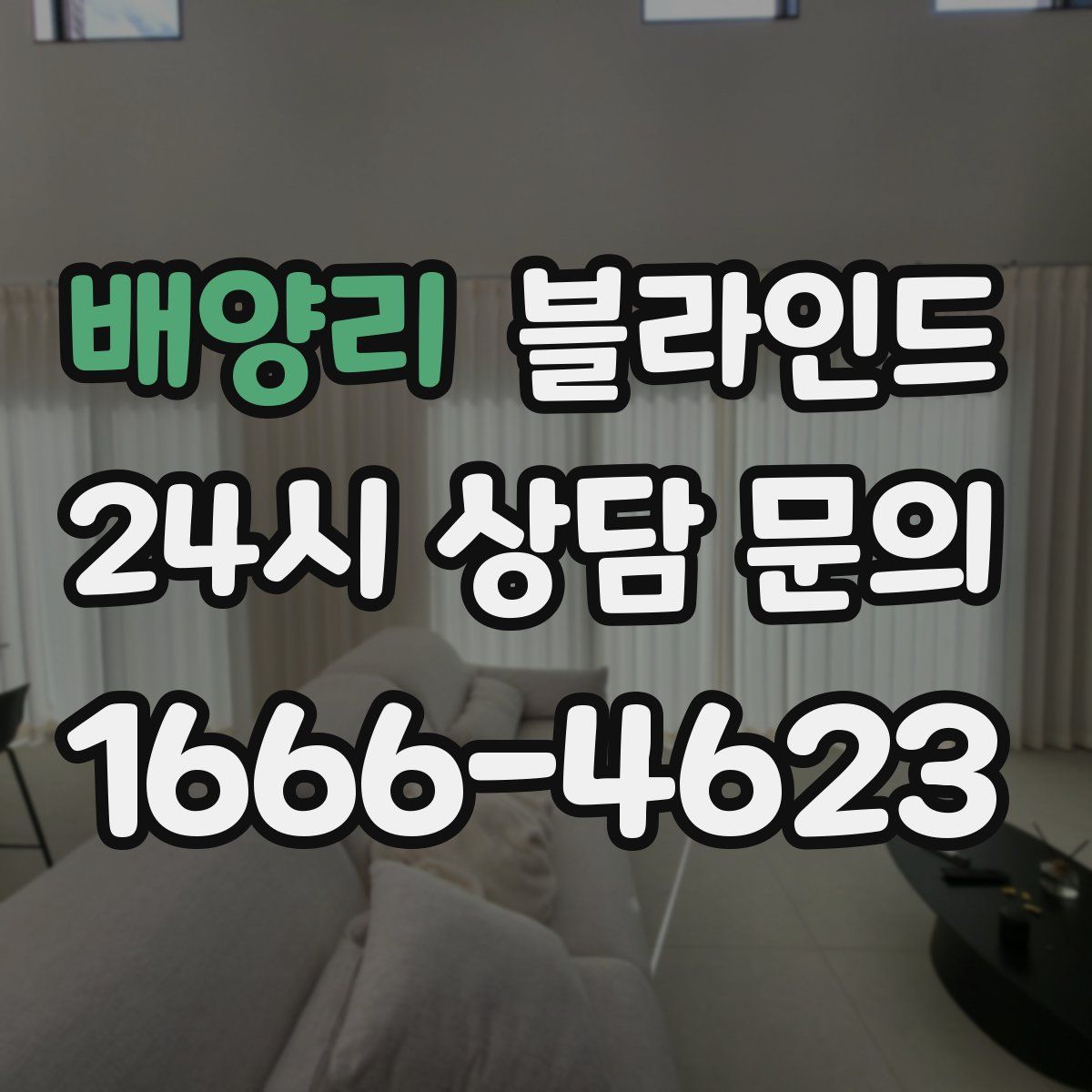 배양리 블라인드