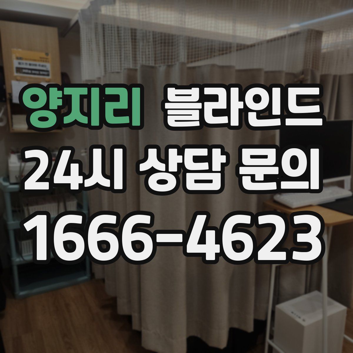 양지리 블라인드