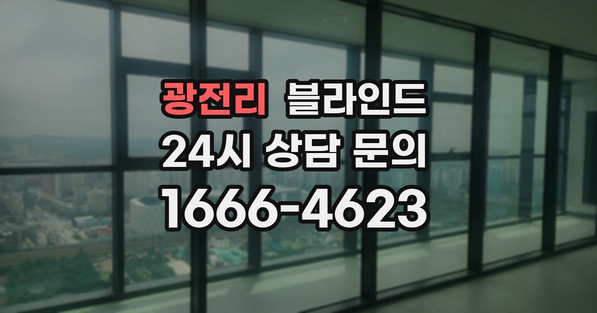 광전리 블라인드
