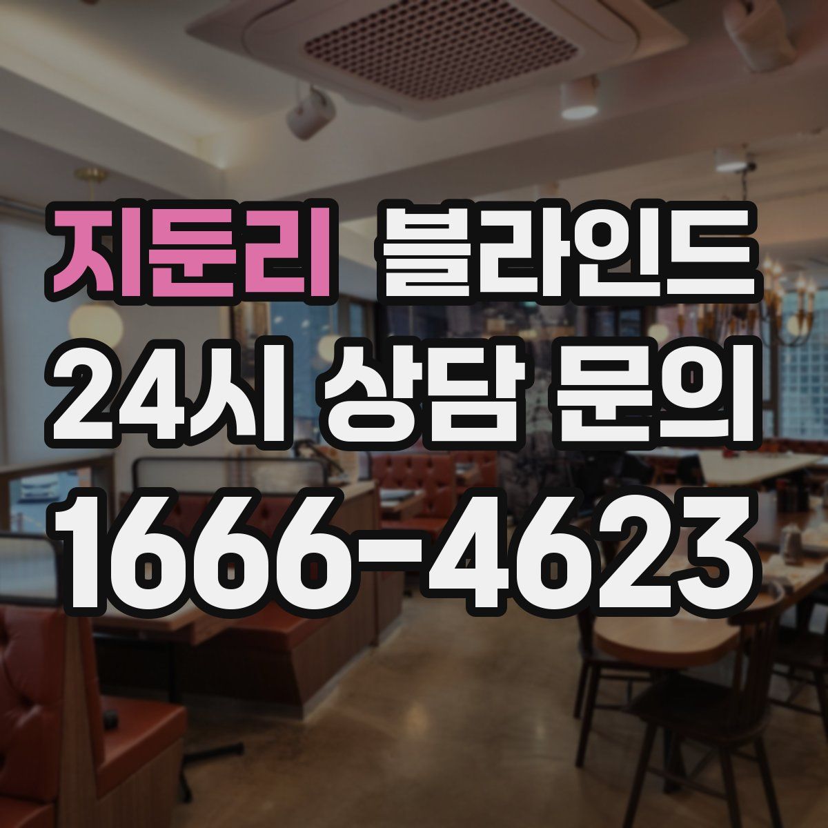 지둔리 블라인드