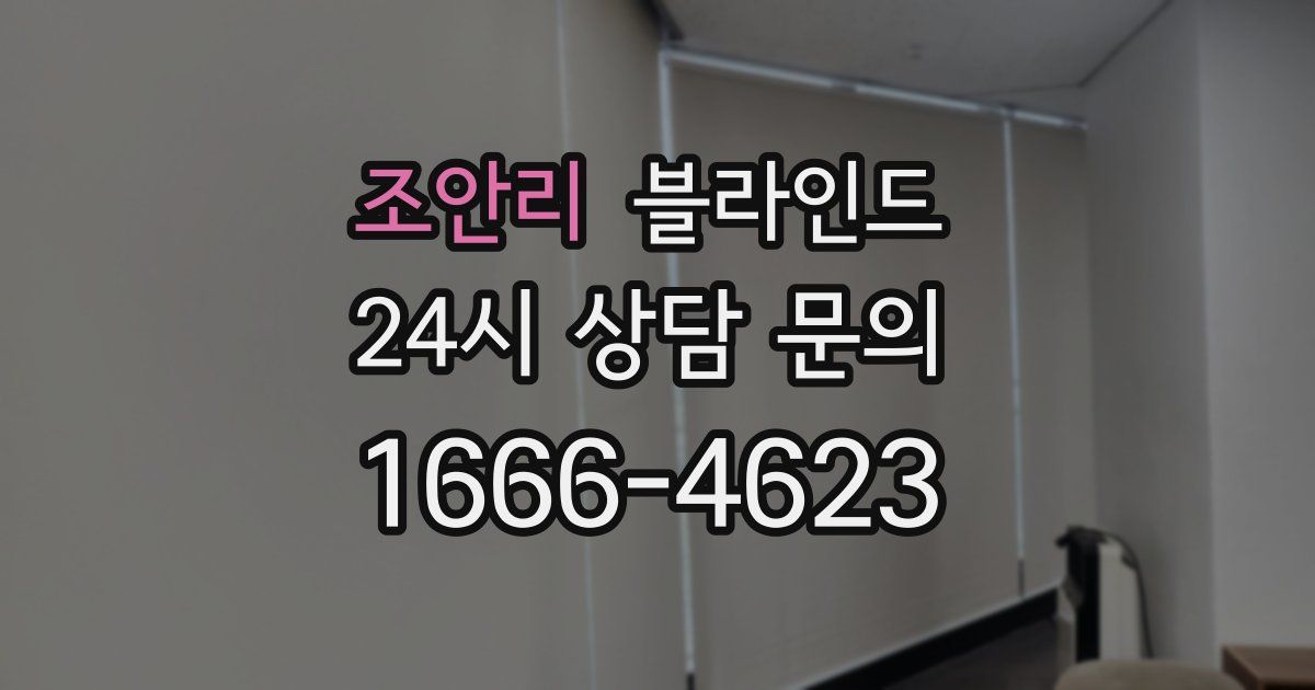 조안리 블라인드
