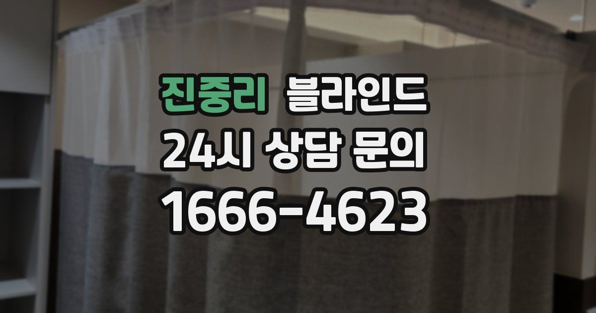 진중리 블라인드