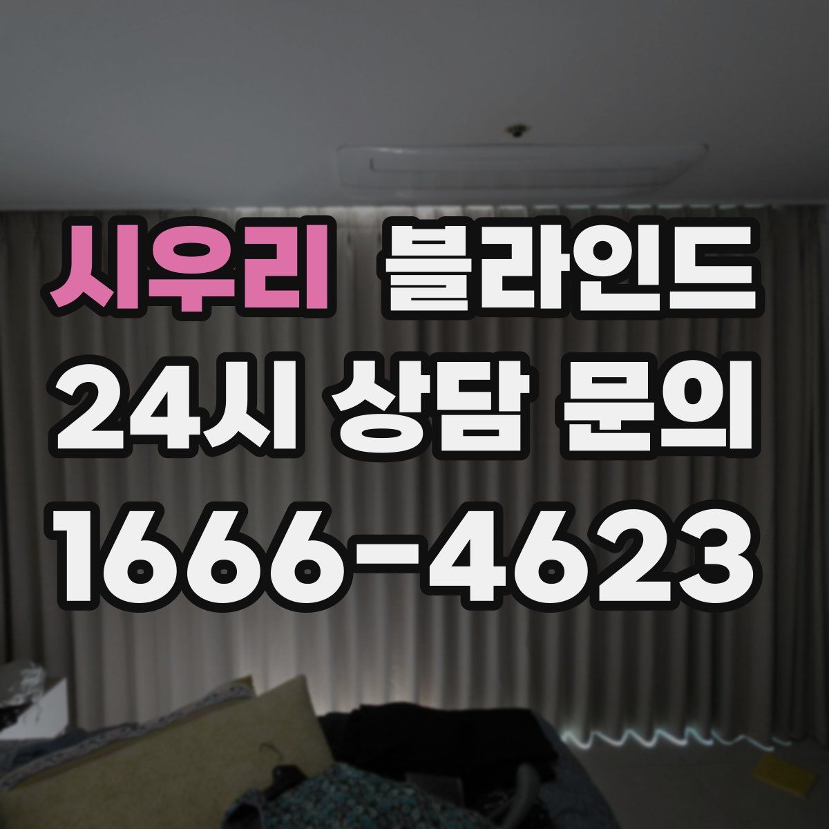 시우리 블라인드