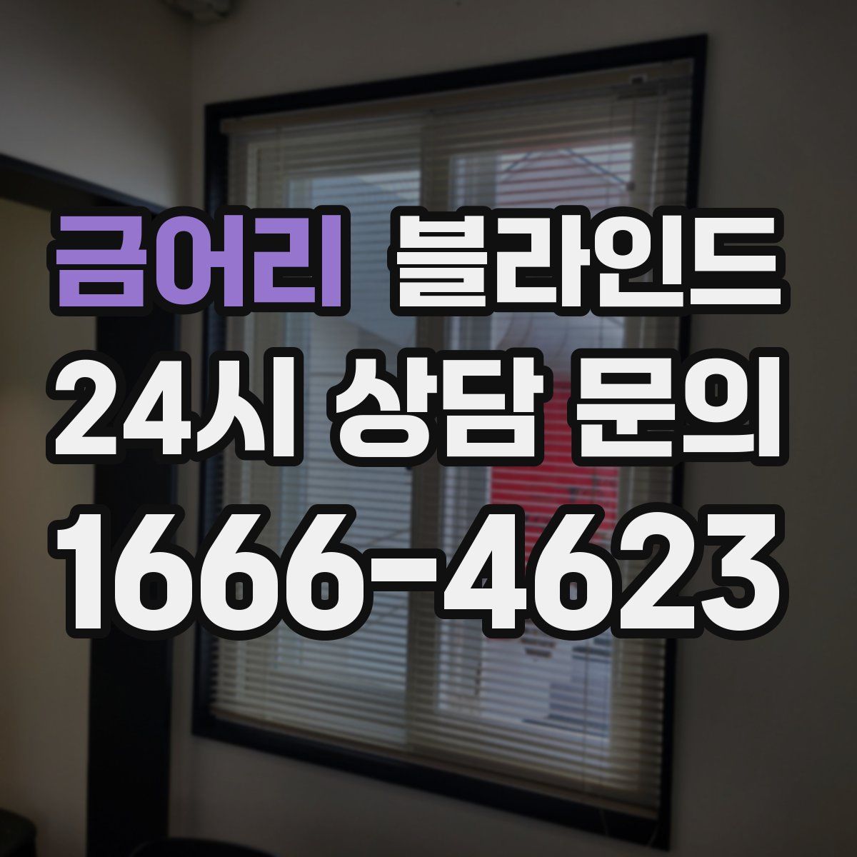 금어리 블라인드