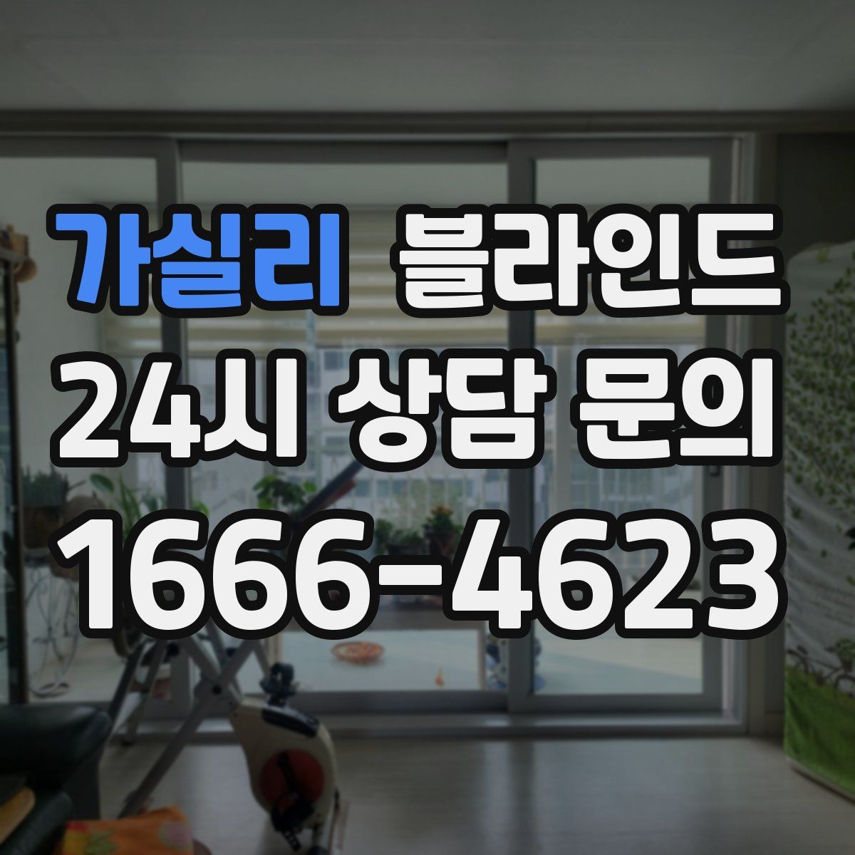 가실리 블라인드