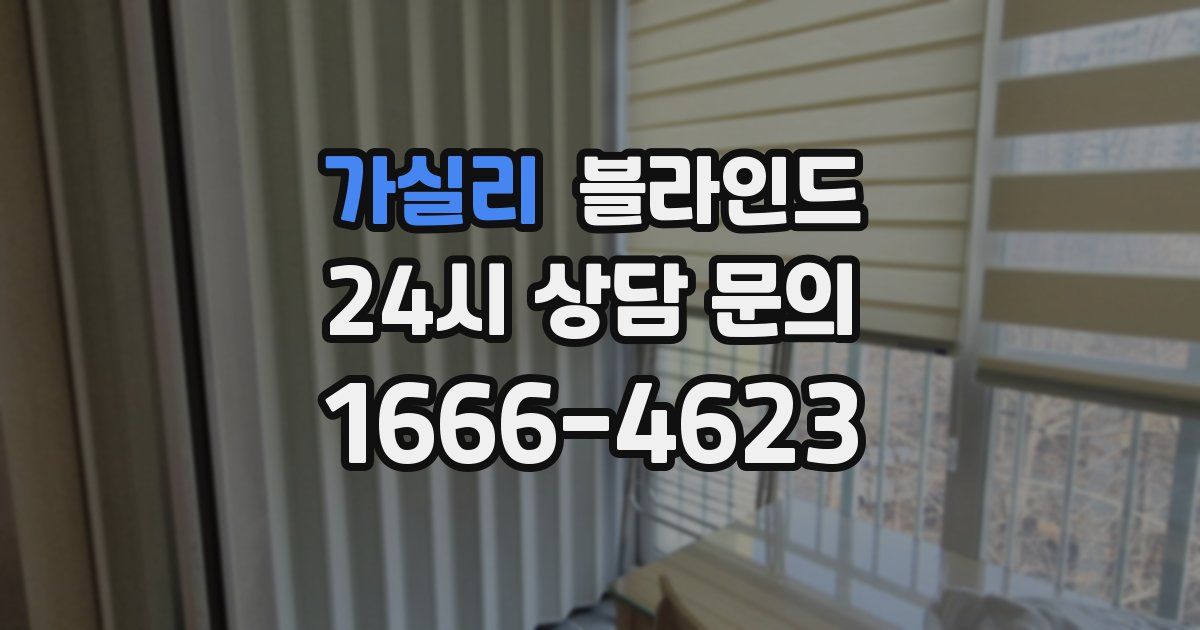 가실리 블라인드