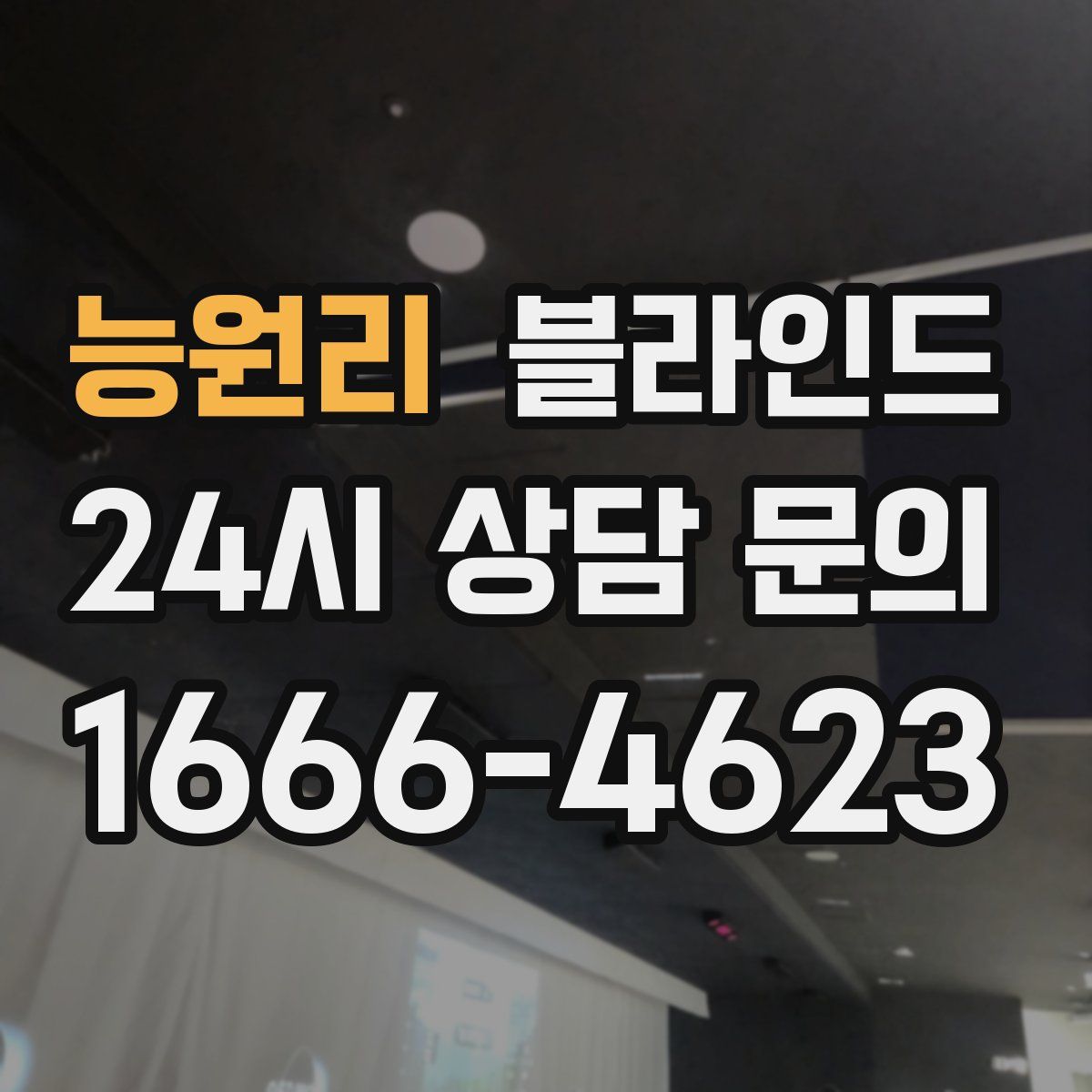 능원리 블라인드