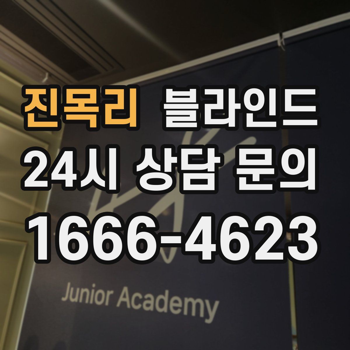 진목리 블라인드