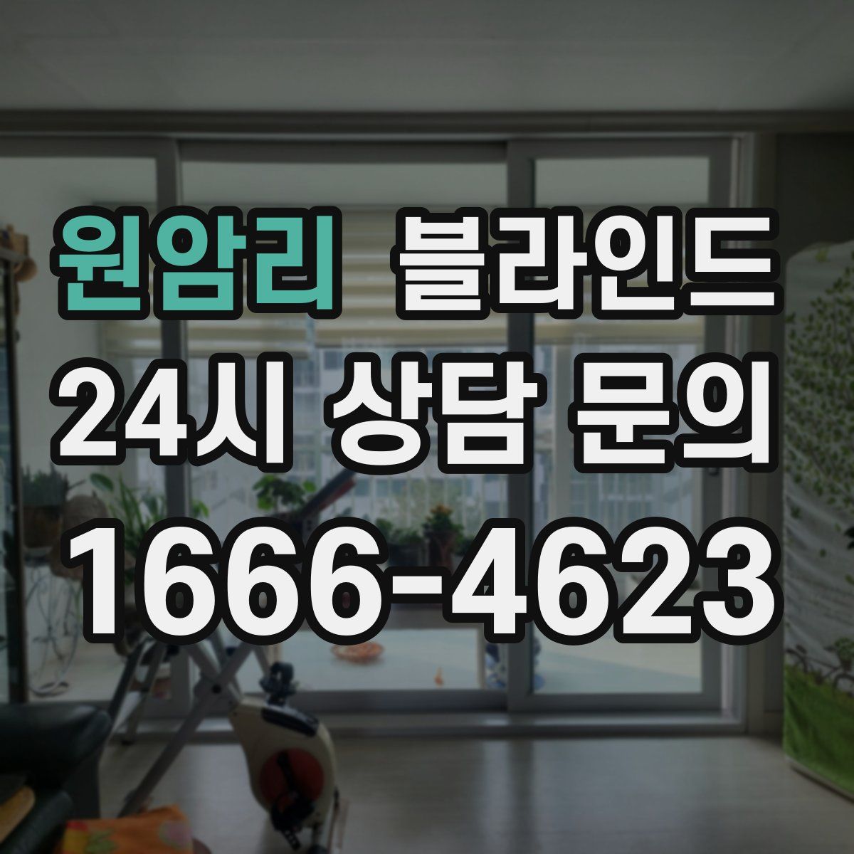 원암리 블라인드