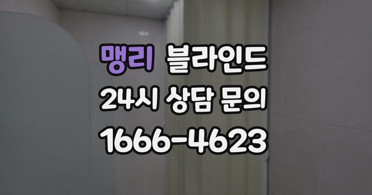 맹리 블라인드