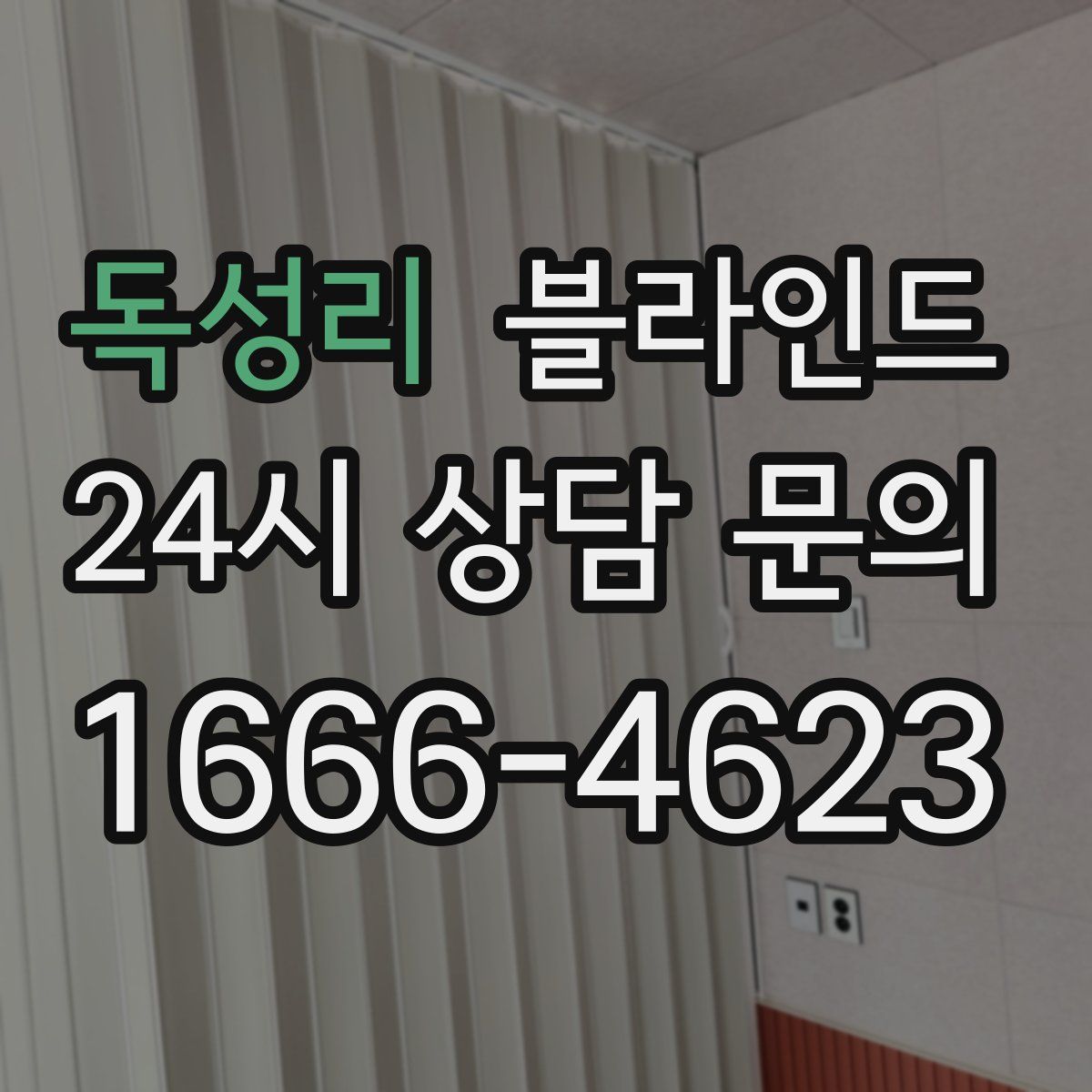 독성리 블라인드