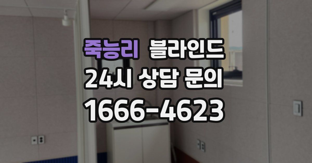 죽능리 블라인드