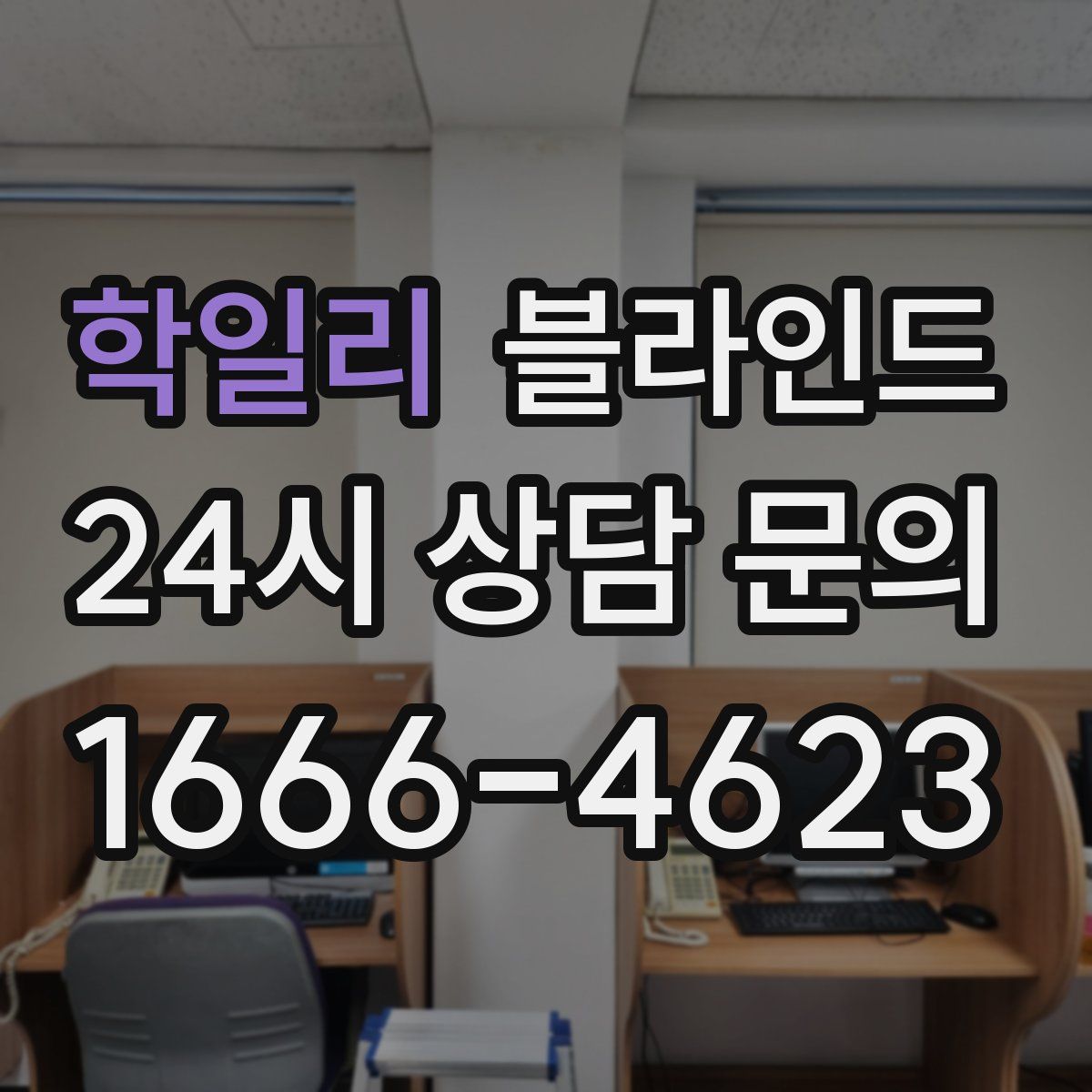 학일리 블라인드