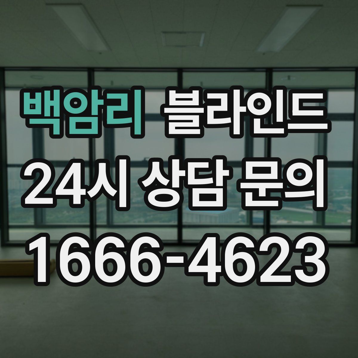 백암리 블라인드
