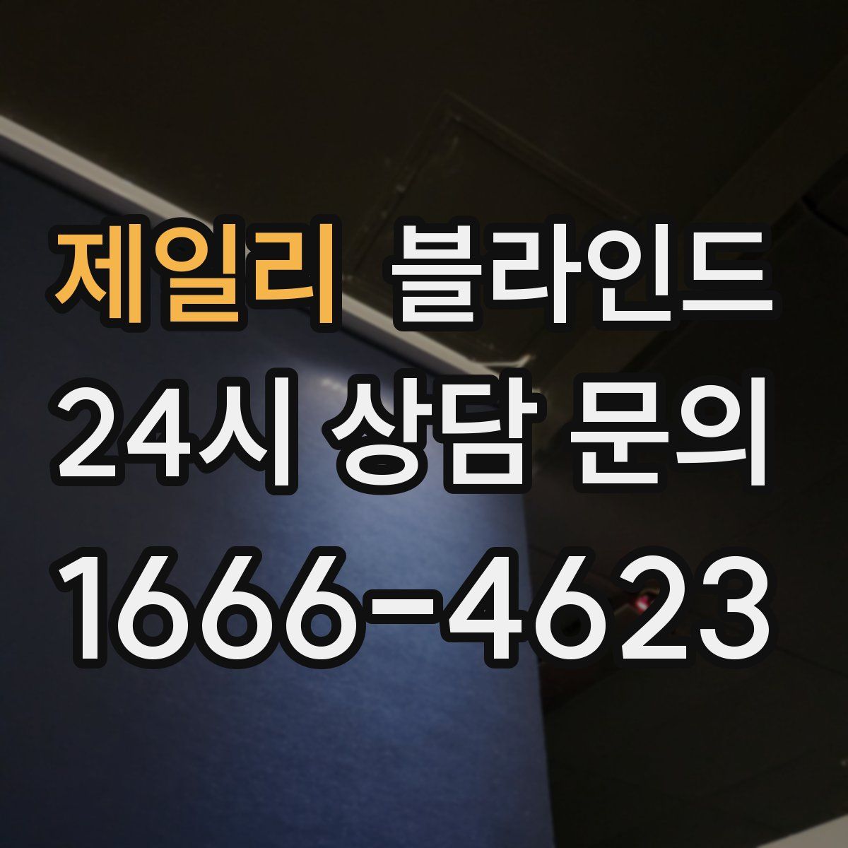 제일리 블라인드