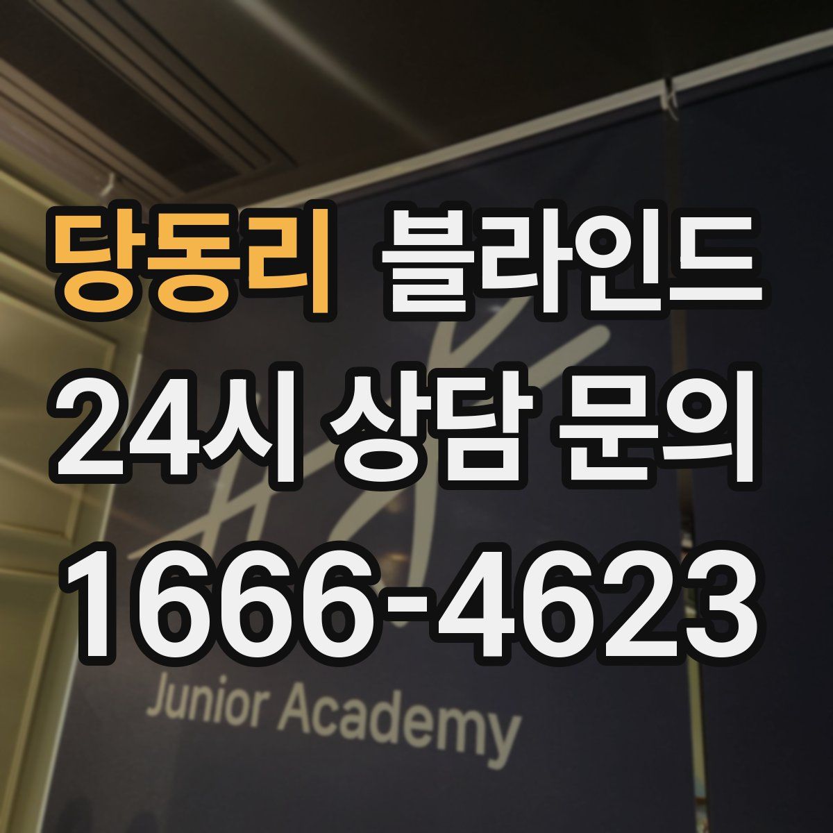 당동리 블라인드
