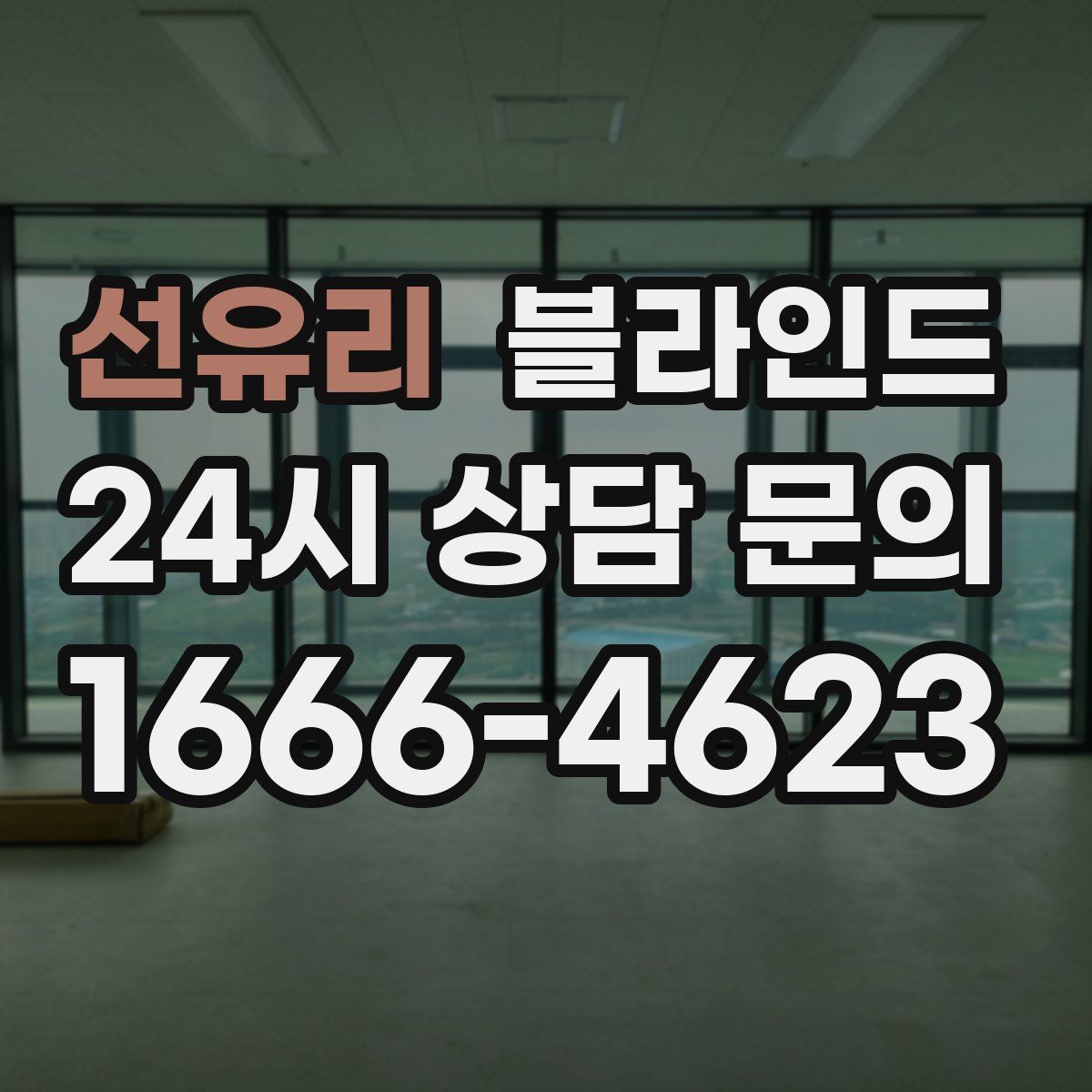 선유리 블라인드