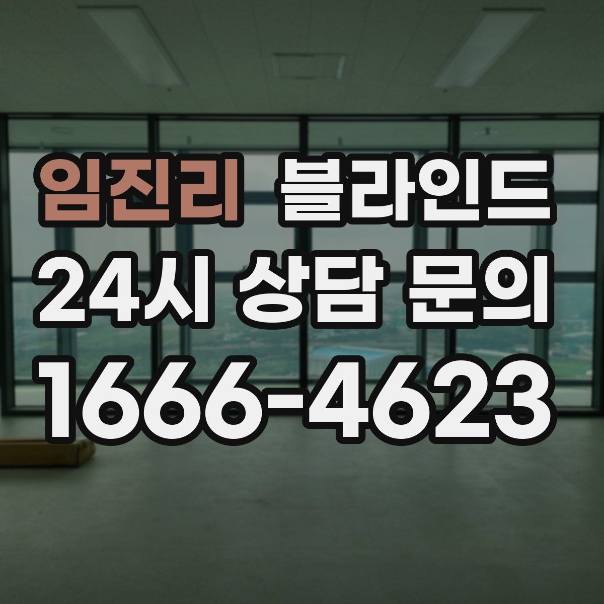 임진리 블라인드