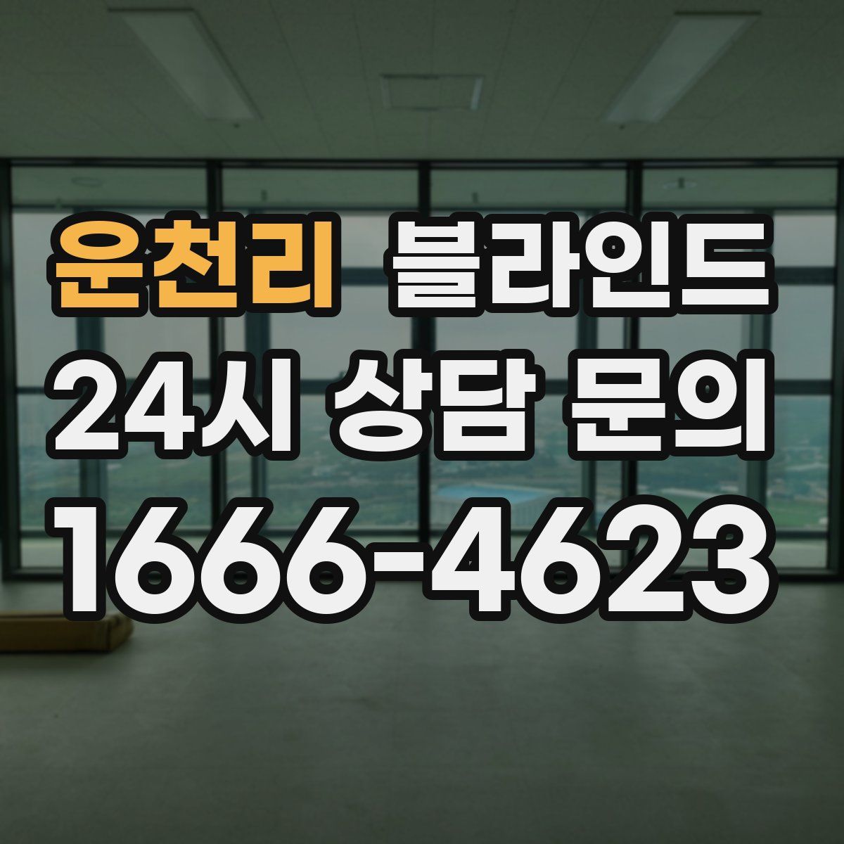 운천리 블라인드