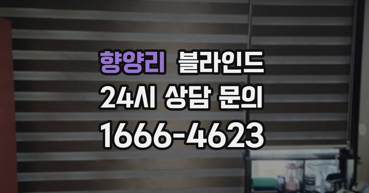 향양리 블라인드