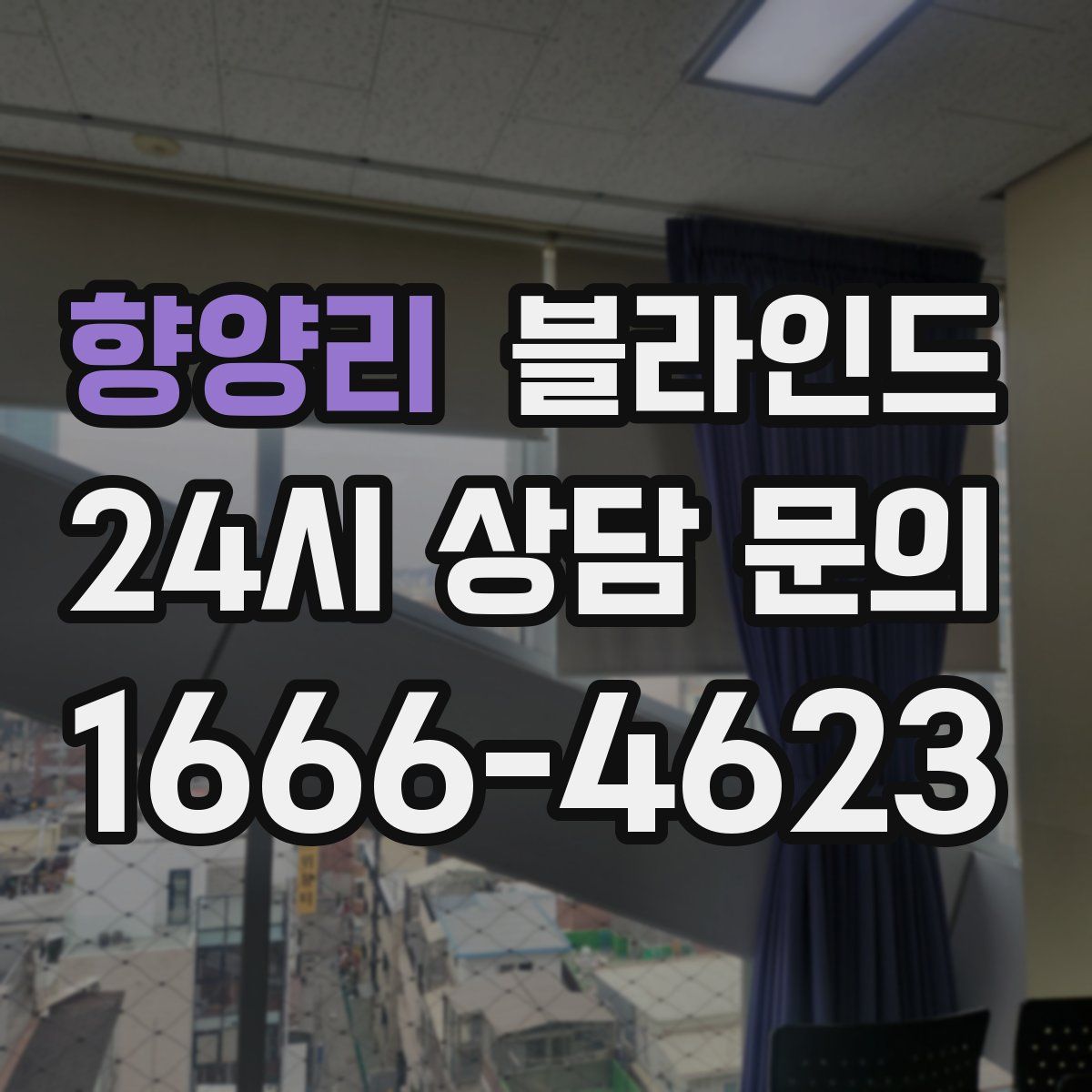 향양리 블라인드