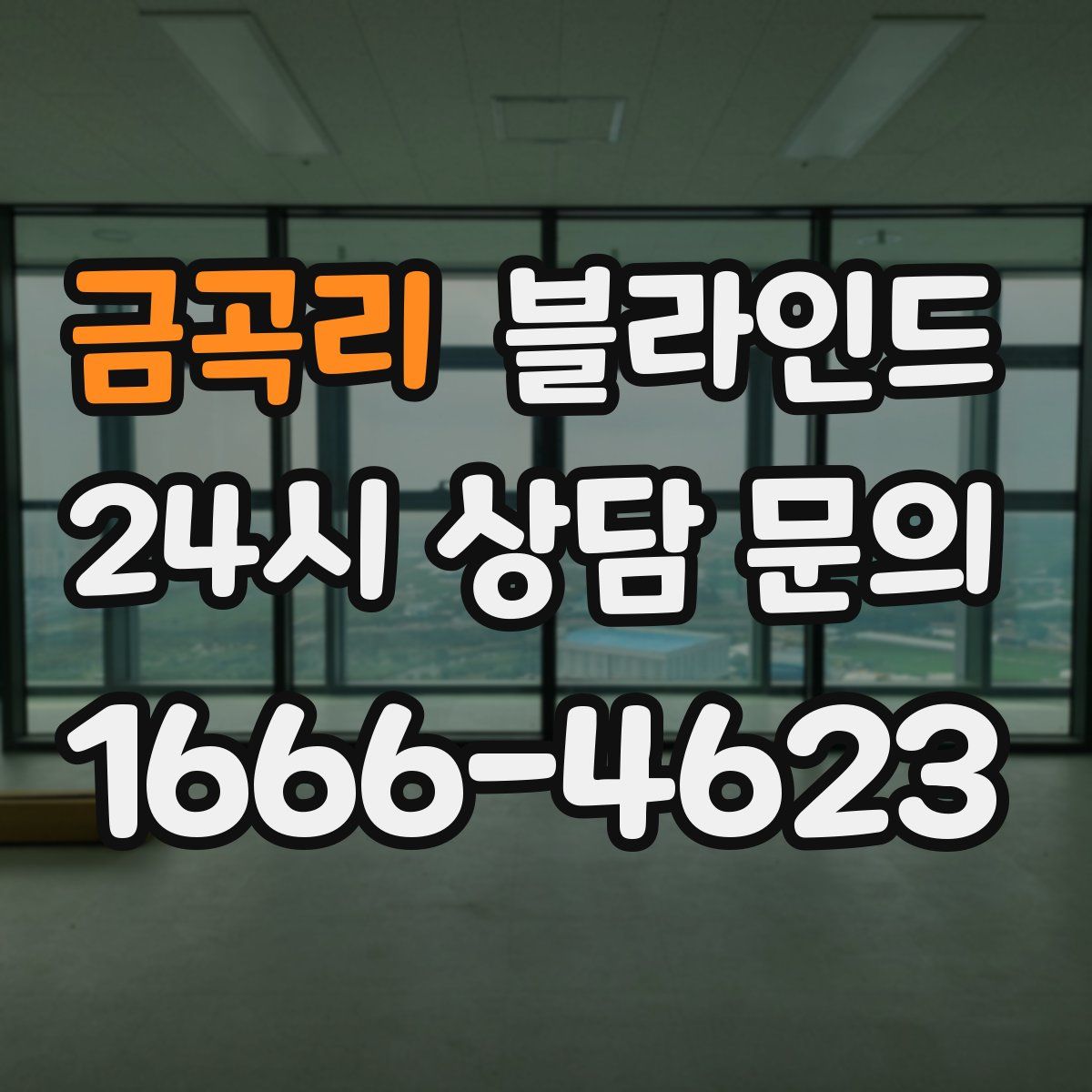 금곡리 블라인드