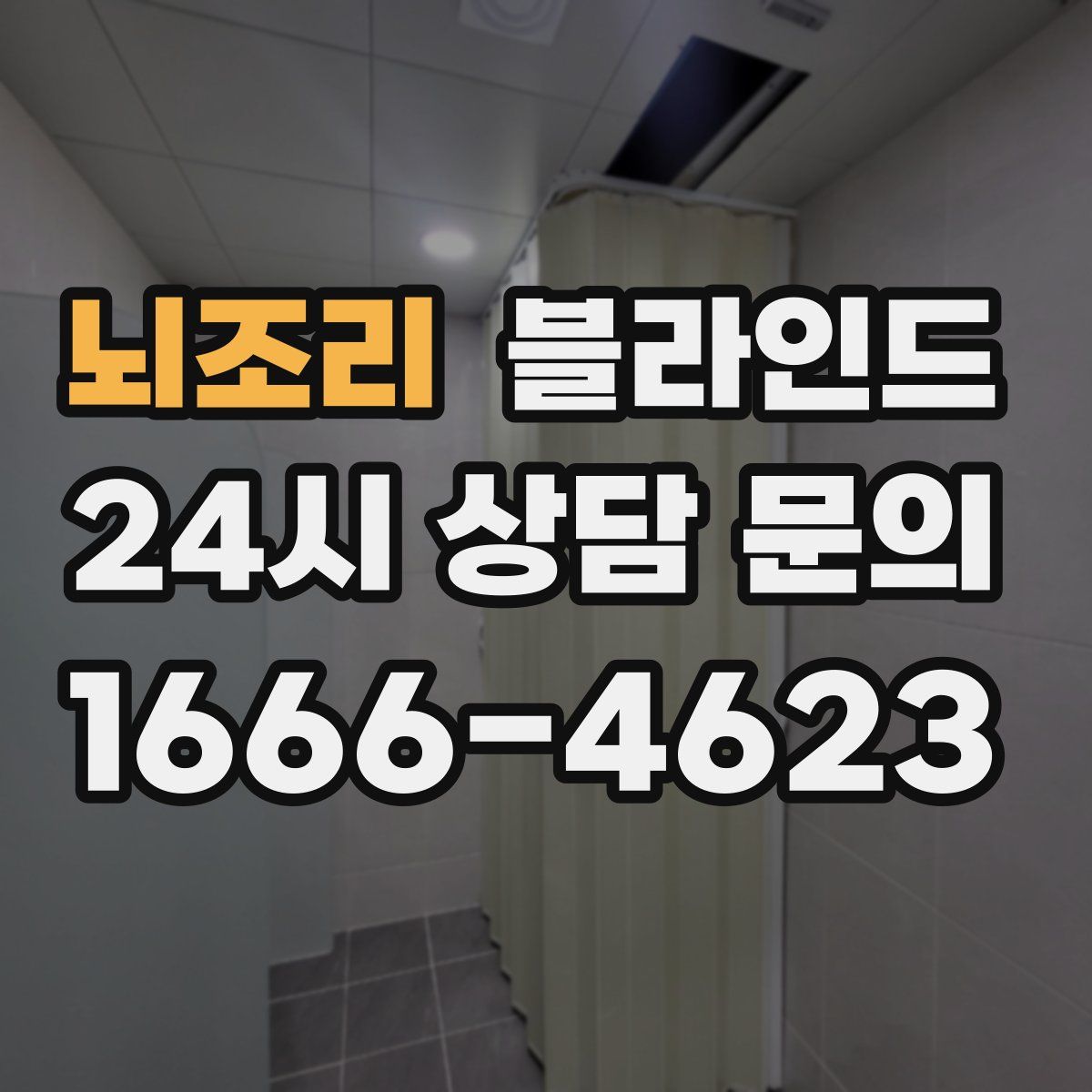 뇌조리 블라인드