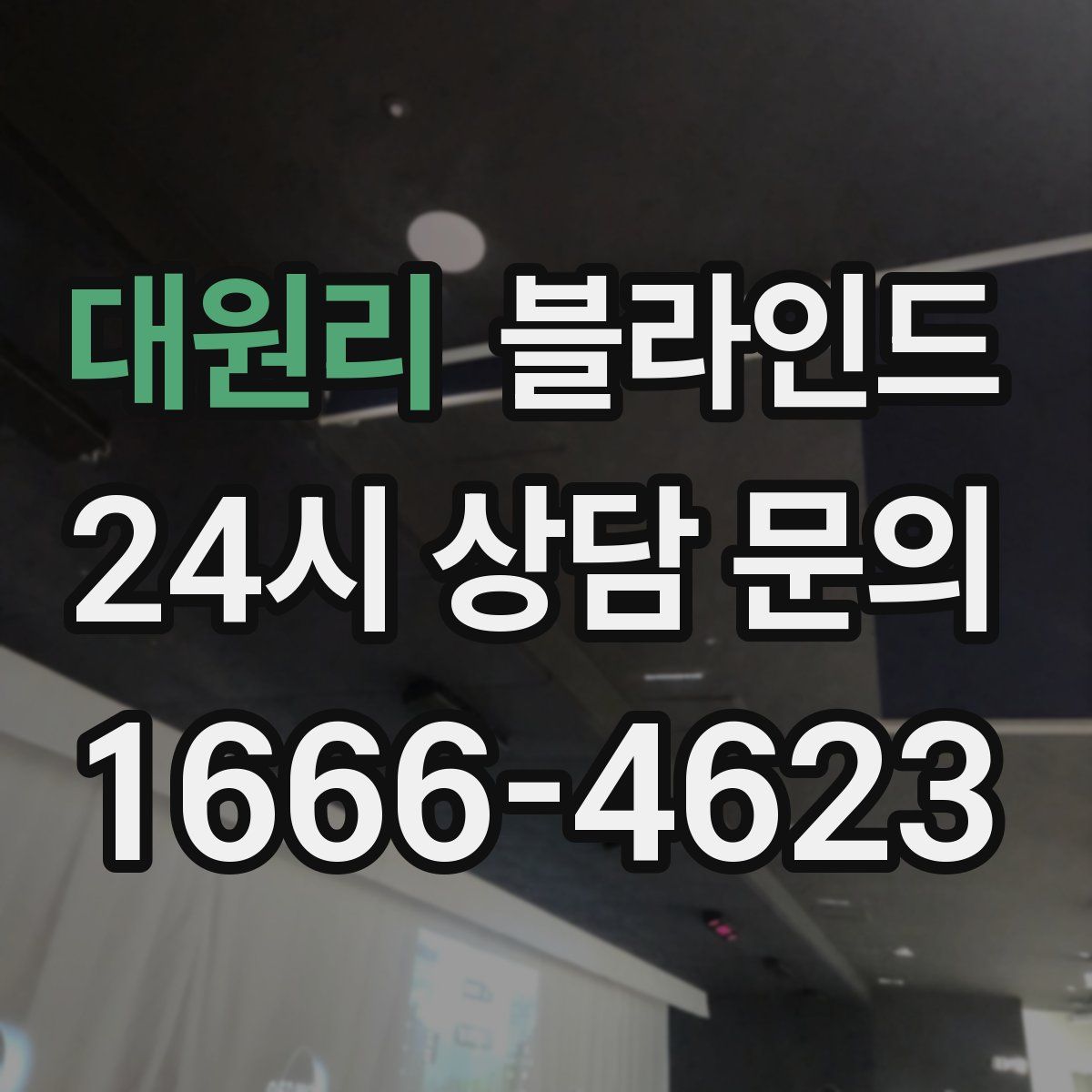 대원리 블라인드