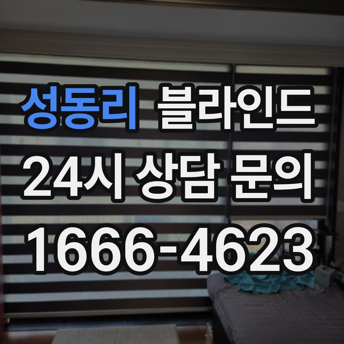 성동리 블라인드