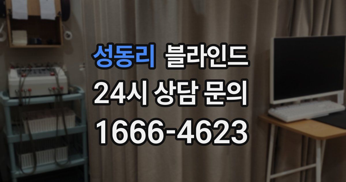 성동리 블라인드