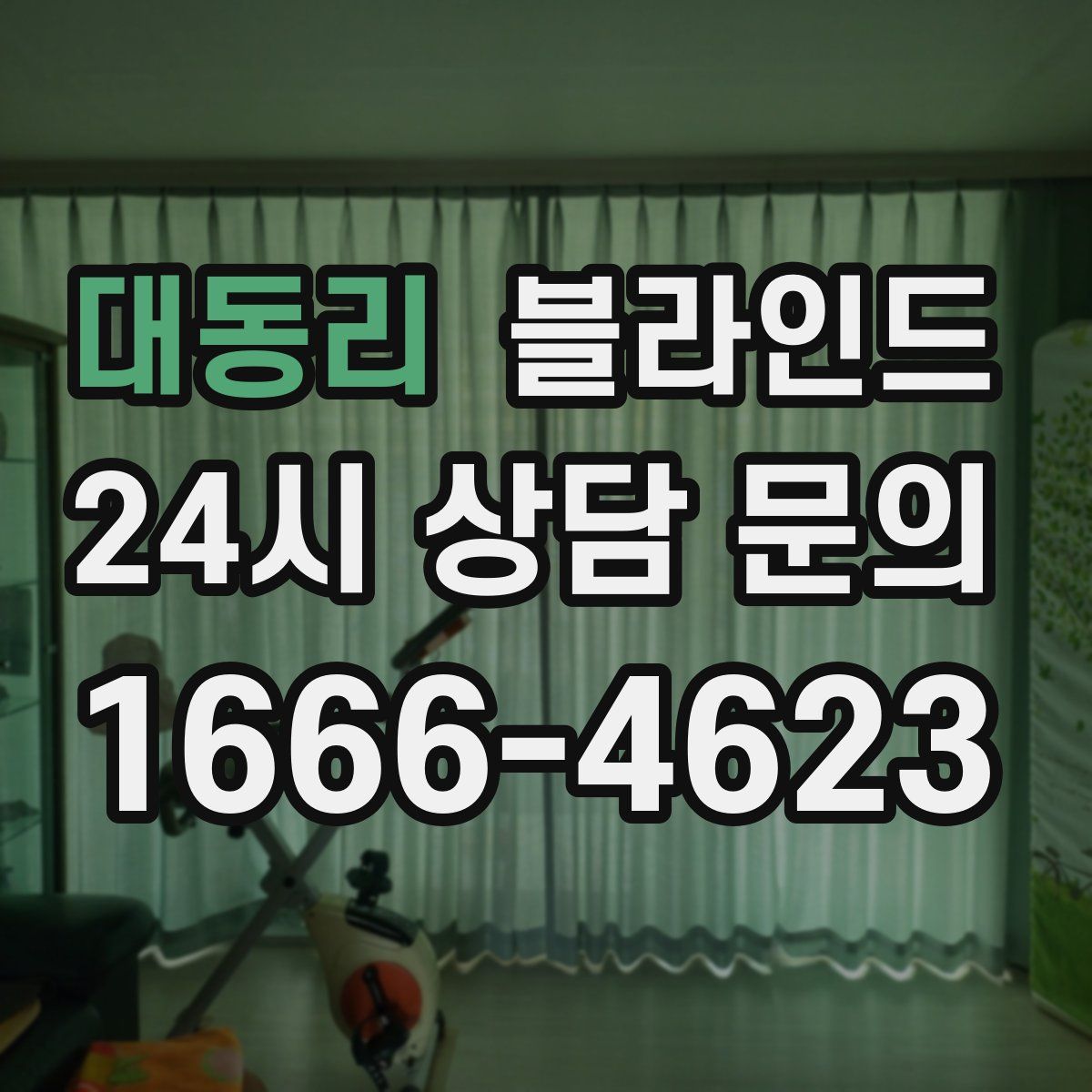 대동리 블라인드