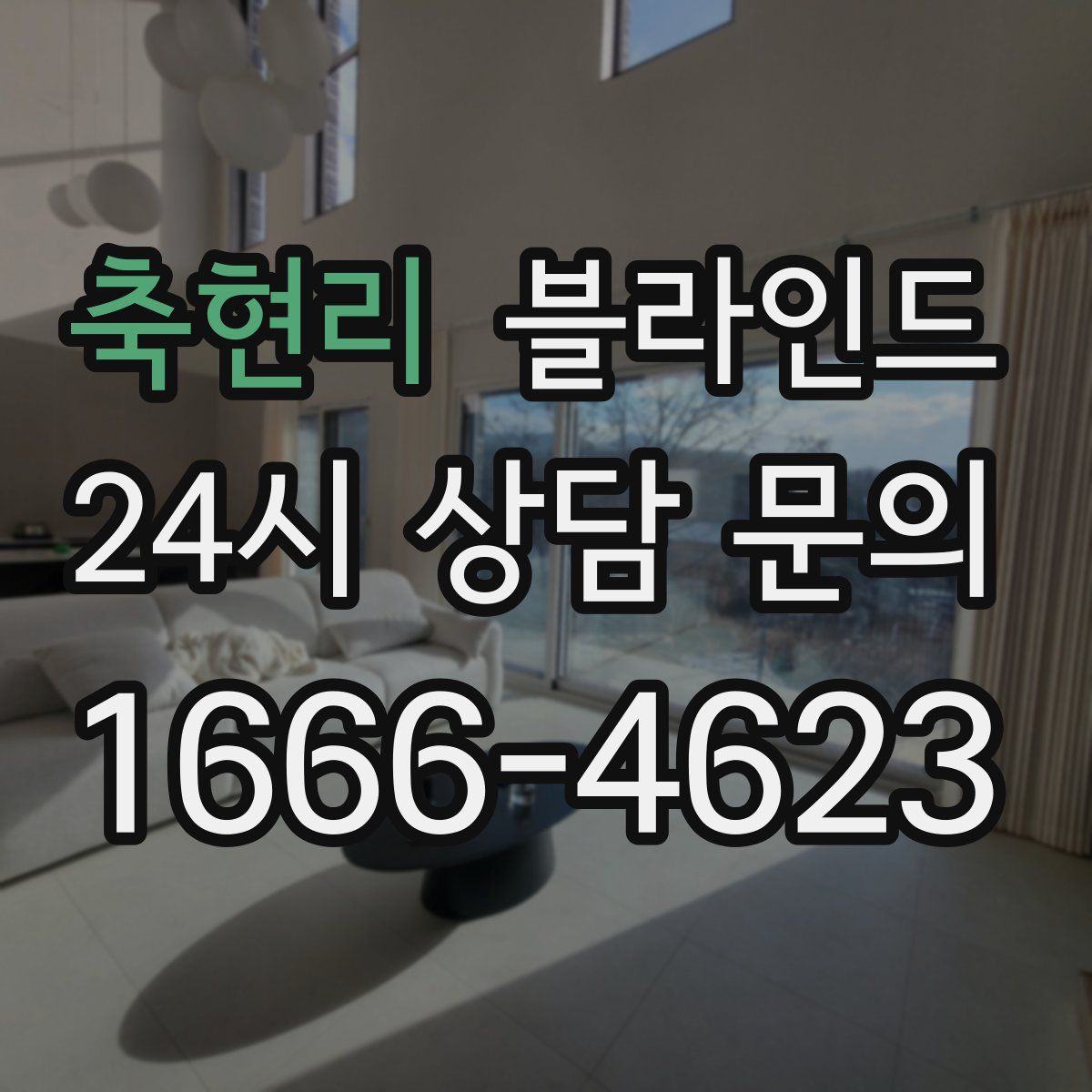축현리 블라인드