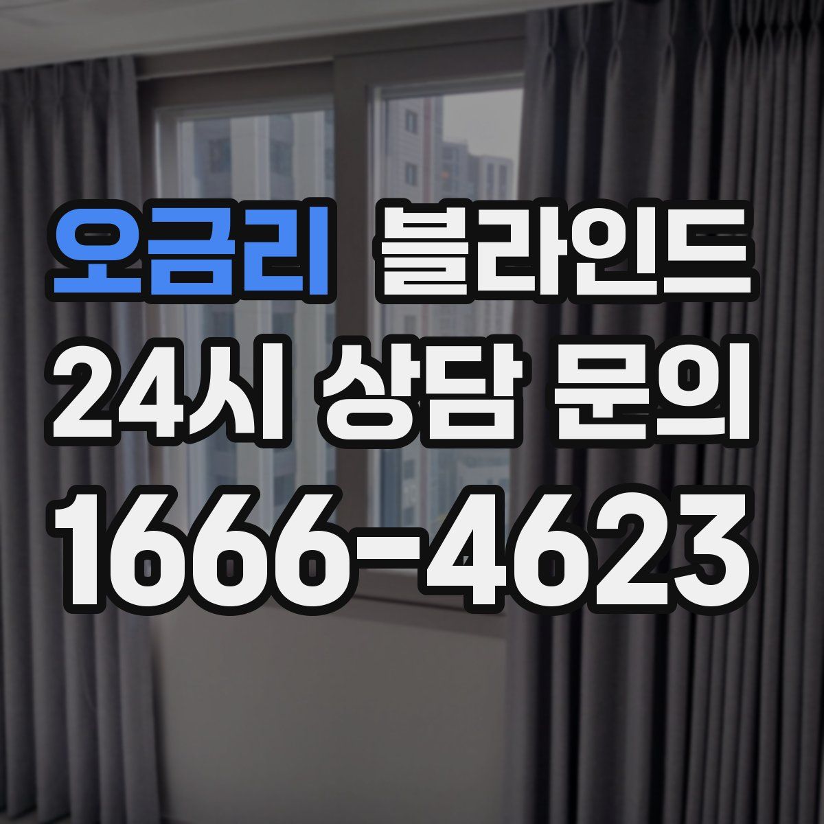 오금리 블라인드