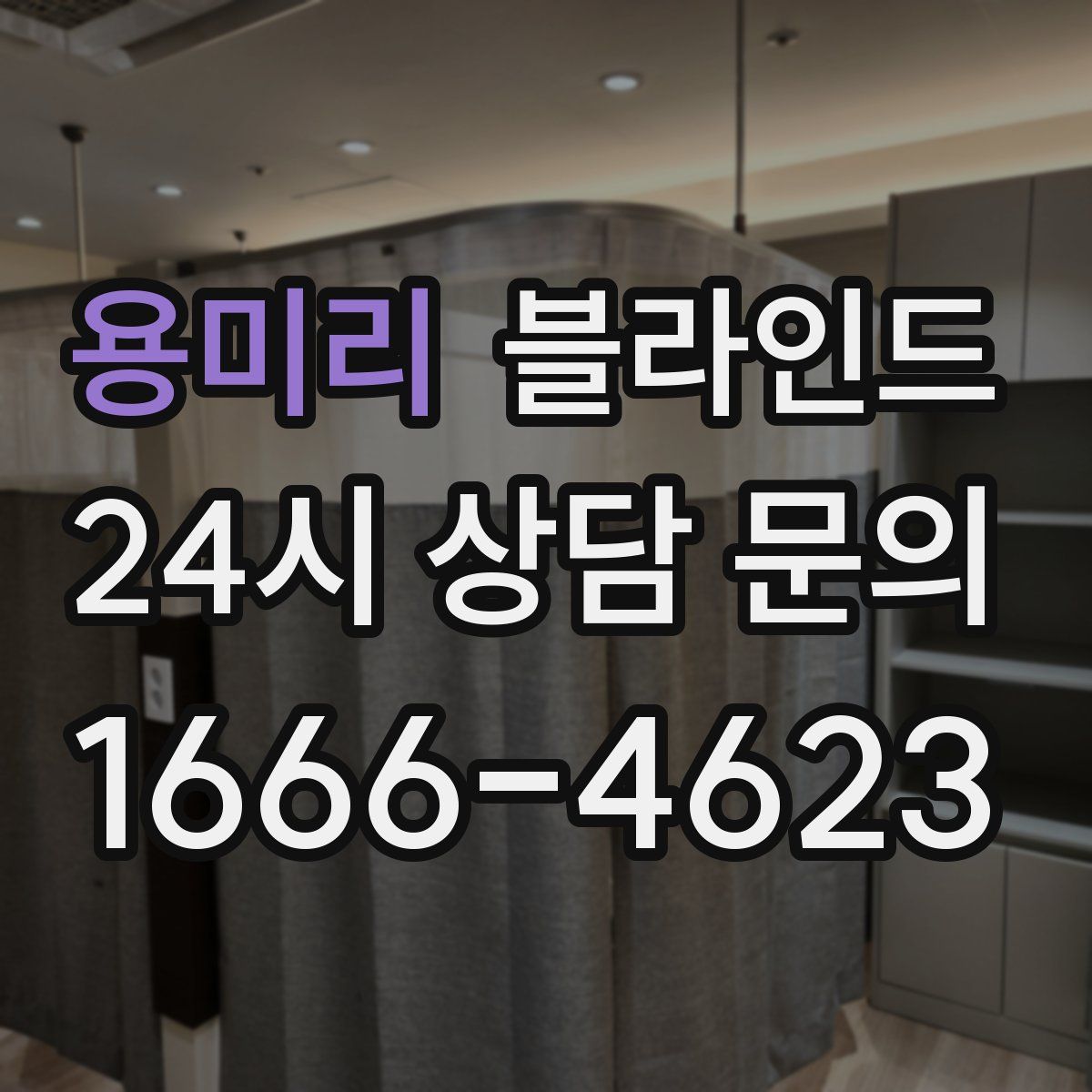 용미리 블라인드