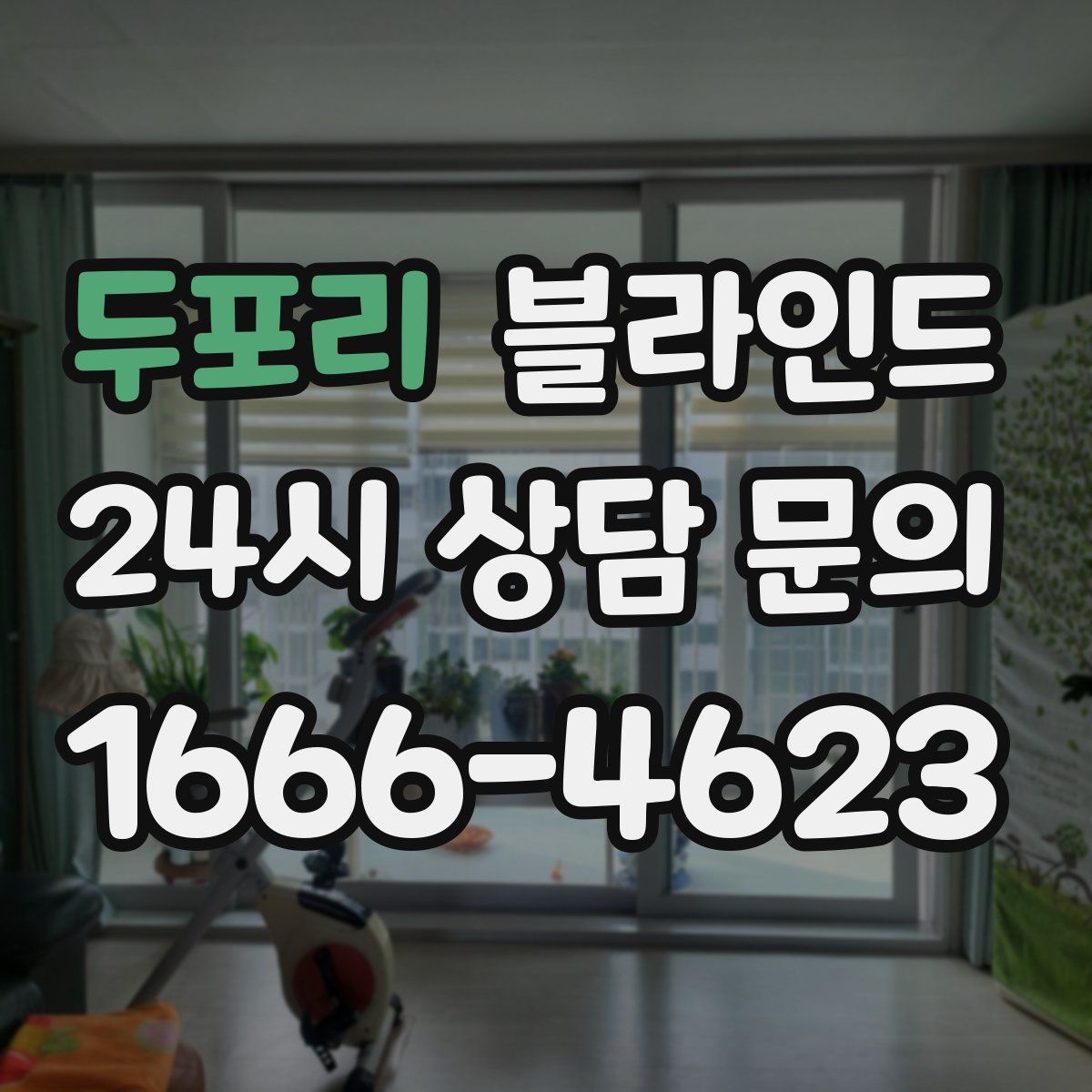 두포리 블라인드