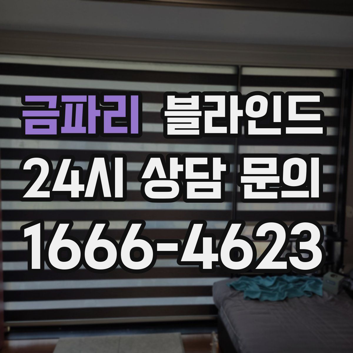 금파리 블라인드
