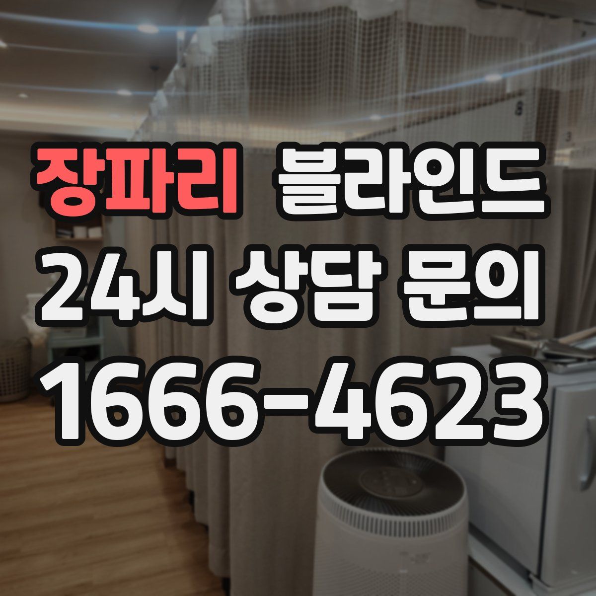 장파리 블라인드